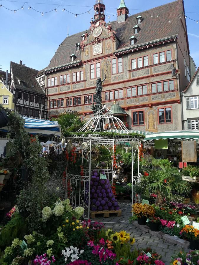 Schoene, Grosse Ferienwohnung In Waldenbuch, Nahe Stuttgart Messe, Boeblingen, Sindelfingen 외부 사진